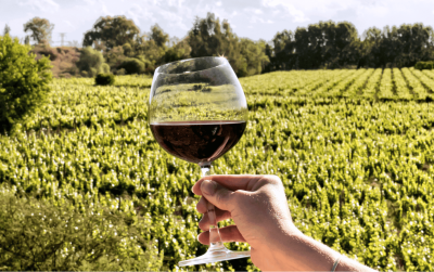 Image: Rostislav Sedlacek